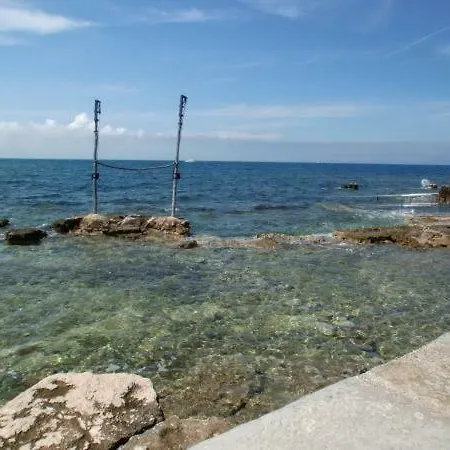 Azalea, Apartman Umag