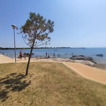 Azalea, * Umag