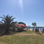 Azalea, Umag