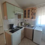 Apartmán Azalea, Umag