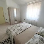 Azalea, Apartmán Umag