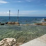 Azalea, Daire Umag