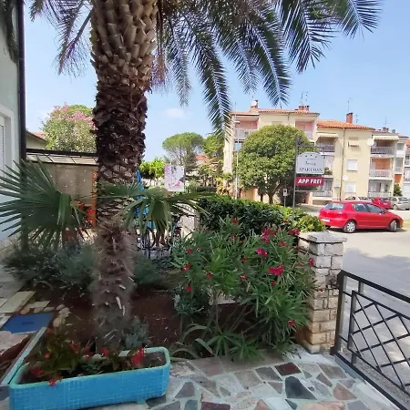 Azalea, * Umag